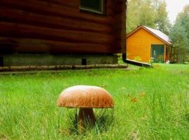 Дом в Ленинградская область, Приморск Красное Яблочко СНТ, 73 (60 м²) - . Приморск - фото 14