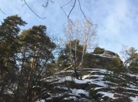 Дом в Челябинская область, Снежинск пос. Сокол, ул. Парусная, 4 (130 м²) - Парусная. Снежинск - фото 16