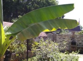 Дом в Краснодарский край, Сочи Сочинское ш., 8/7Б (82 м²) - . Сочи - фото 20