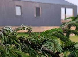 Дом в Московская область, Солнечногорск ул. Виноградная (65 м²) - Виноградная. Солнечногорск - фото 14