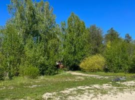 Дом в Челябинская область, Чебаркуль Лесная ул., 44Б (110 м²) - Подлесная. Чебаркуль - фото 24