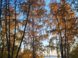 Дом в Челябинская область, Чебаркуль Лесная ул., 44Б (110 м²) - Подлесная. Чебаркуль - фото 26