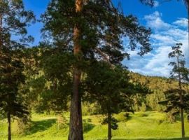 Дом в Челябинская область, Куса г. Кусинское городское поселение,  (100 м²) - . Куса г. - фото 17