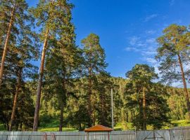 Дом в Челябинская область, Куса г. Кусинское городское поселение,  (100 м²) - . Куса г. - фото 18