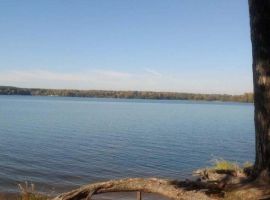 Дом в Тверская область, Конаково Первомайская ул., 125А (350 м²) - Первомайская. Конаково - фото 30