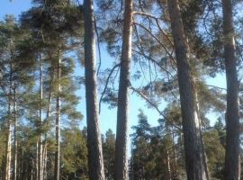 Дом в Тверская область, Конаково Первомайская ул., 125А (350 м²) - Первомайская. Конаково - фото 31