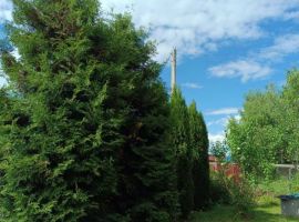 Дом в Тверская область, Кимры Пихтовая ул. (160 м²) - Пихтовая (Орлов Овраг тер.). Кимры - фото 21