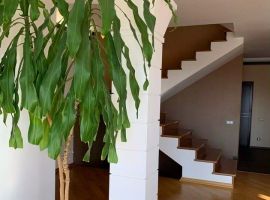 Дом в Краснодарский край, Сочи Учитель садовое товарищество, 21 (457 м²) - . Сочи - фото 36