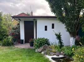 Дом в Калининградская область, Зеленоградск Прибой садоводческое товарищество, ул. Цветочная (50 м²) - Цветочная. Зеленоградск - фото 29