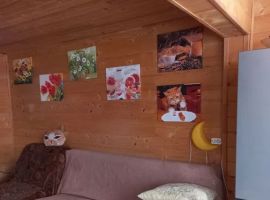 Дом в Приморский край, Владивосток Шкотовская ул., 7 (72 м²) - . Владивосток - фото 7