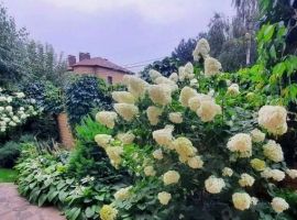 Дом в Воронежская область, Воронеж ул. Оскольская, 1В (55 м²) - . Воронеж - фото 22