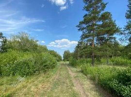 Дом в Челябинская область, Магнитогорск Набережная ул. (600 м²) - Набережная (Орлов Овраг тер.). Магнитогорск - фото 25