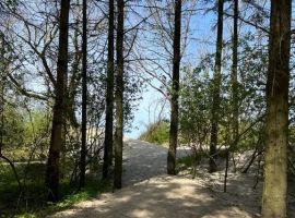 Дом в Калининградская область, Зеленоградск Волна садоводческое товарищество, ул. Центральная (100 м²) - Центральная (19 км Московского шоссе тер. Зеленоградск - фото 25