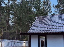 Дом в Красноярский край, Красноярск Юбилейный СНТ, 3-69 (40 м²) - . Красноярск - фото 28