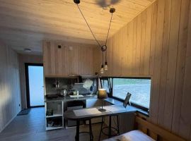 Дом в Псковская область, Псков Санаторная ул., 80 (25 м²) - . Псков - фото 12