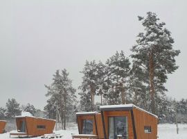 Дом в Псковская область, Псков Санаторная ул., 80 (25 м²) - . Псков - фото 20