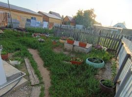 Дом в Алтайский край, Яровое Набережная ул., 10 (44 м²) - Набережная (Орлов Овраг тер.). Яровое - фото 3