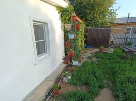 Дом в Алтайский край, Яровое Набережная ул., 10 (44 м²) - Набережная (Орлов Овраг тер.). Яровое - фото 7