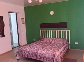 Дом в Новосибирская область, Новосибирск Пионерская ул., 31 (340 м²) - Пионерская. Новосибирск - фото 8