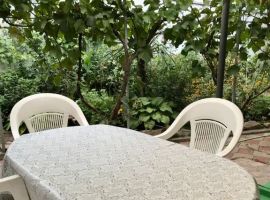 Дом в Краснодарский край, Ейск ул. Чапаева, 55 (40 м²) - Чапаева. Ейск - фото 1