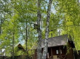 Дом в Алтайский край, Первомайский район, пос. Покровка ул. Сибирская, 2 (100 м²) - Ново-Сибирская. Первомайский район - фото 9