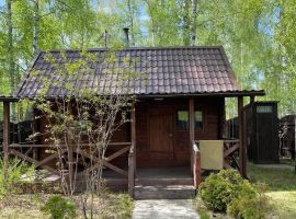 Дом в Алтайский край, Первомайский район, пос. Покровка ул. Сибирская, 2 (100 м²) - Ново-Сибирская. Первомайский район - фото 10