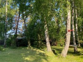 Дом в Алтайский край, Первомайский район, пос. Покровка ул. Сибирская, 2 (100 м²) - Ново-Сибирская. Первомайский район - фото 8