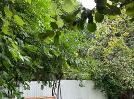 Дом в Ростовская область, Таганрог ул. Желябова, 13 (51 м²) - . Таганрог - фото 12