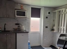 Дом в Ростовская область, Миллерово Северная ул., 54 (20 м²) - Северная (СНТ Золотые пески N 1 снт). Миллерово - фото 6