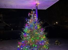 Дом в Псковская область, Псков Крестовский пер., 7 (45 м²) - . Псков - фото 20