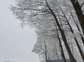 Дом в Калининградская область, Черняховск  (18 м²) - . Черняховск - фото 5