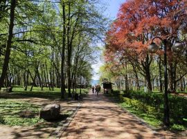 Дом в Калининградская область, Янтарный пгт ул. Клубничная, 20 (131 м²) - Клубничная. Янтарный пгт - фото 36