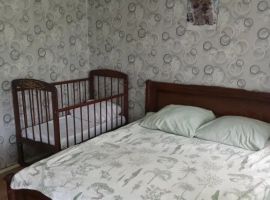 Дом в Воронежская область, Богучар ул. Дзержинского, 94 (40 м²) - Дзержинского. Богучар - фото 1
