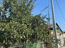 Дом в Краснодарский край, Крымск ул. Белинского, 2 (42 м²) - Белинского. Крымск - фото 24