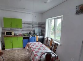 Дом в Оренбургская область, Соль-Илецк ул. Персиянова, 81 (70 м²) - . Соль-Илецк - фото 13