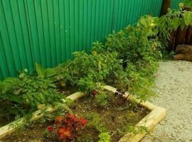 Дом в Краснодарский край, Геленджик Красная ул., 17 (60 м²) - Красная. Геленджик - фото 1