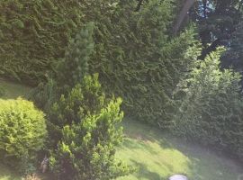 Дом в Калининградская область, Гурьевск Степной пер., 2Е (212 м²) - 3-я линия (ДНТ Степной садовод тер.). Гурьевск - фото 42