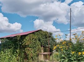 Дом в Алтайский край, Яровое ул. Комарова, 71 (100 м²) - . Яровое - фото 27