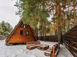 Дом в Пензенская область, Бессоновский район, пос. Подлесный, Лесное Озеро кп ул. Озерная, 81 (68 м²) - Озерная (18 км Московского шоссе тер.). Бессоновский район - фото 23