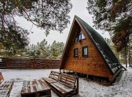 Дом в Пензенская область, Бессоновский район, пос. Подлесный, Лесное Озеро кп ул. Озерная, 81 (68 м²) - Озерная (18 км Московского шоссе тер.). Бессоновский район - фото 27