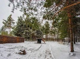 Дом в Пензенская область, Бессоновский район, пос. Подлесный, Лесное Озеро кп ул. Озерная, 81 (68 м²) - Озерная (18 км Московского шоссе тер.). Бессоновский район - фото 31