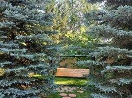 Дом в Новосибирская область, Новосибирск ул. Александра Невского, 30 (300 м²) - . Новосибирск - фото 14