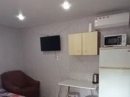 Дом в Воронежская область, Павловск Придорожная ул., 43 (25 м²) - . Павловск - фото 1