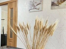 Дом в Краснодарский край, Ейск Морская ул., 160 (60 м²) - Приморская. Ейск - фото 15