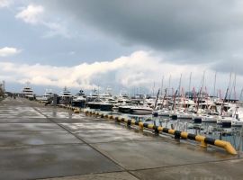 Дом в Краснодарский край, Сочи Труд СТ, 75 (30 м²) - . Сочи - фото 15
