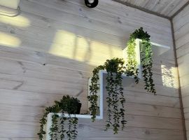 Дом в Воронежская область, Богучар ул. Виноградова, 5 (24 м²) - . Богучар - фото 25