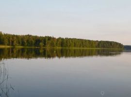 Дом в Тверская область, Андреапольский район, д. Бобровец ул. Центральная, 4 (120 м²) - Центральная (19 км Московского шоссе тер.  - фото 14