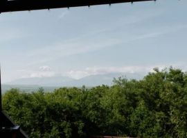 Дом в Камчатский край, Петропавловск-Камчатский ул. Стеллера, 20 (67 м²) - . Петропавловск-Камчатский - фото 12