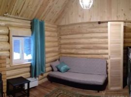 Дом в Алтайский край, Курьинский район, Колыванский сельсовет, с. Колывань ул. Ленина, 59Б (15 м²) - Ленина.  - фото 8