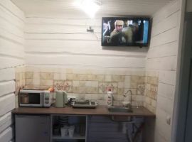 Дом в Алтайский край, Алтайский район, Айский сельсовет, с. Ая ул. Подгорная, 29 (30 м²) - Подгорная.  - фото 4